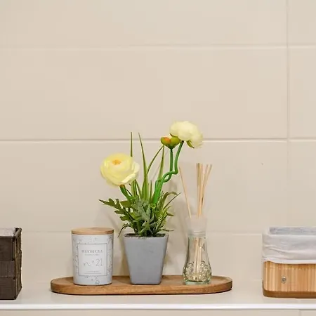 Studio 23 Apartment Plovdiv
